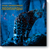 Мои знакомые леопарды