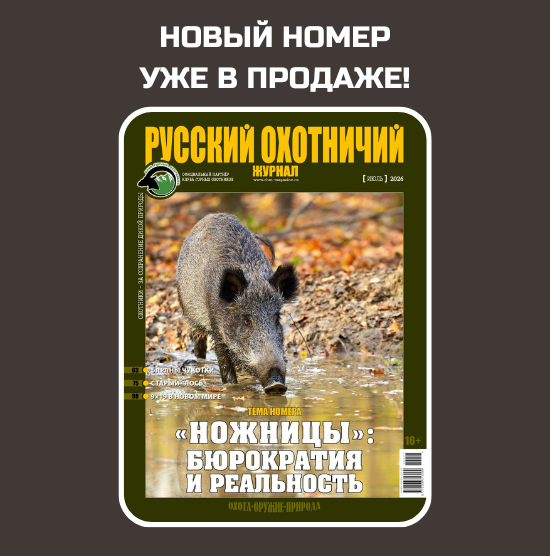 Наш выбор