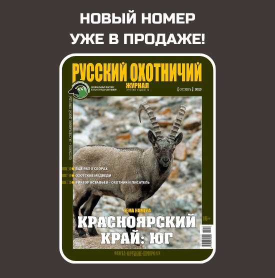 Наш выбор